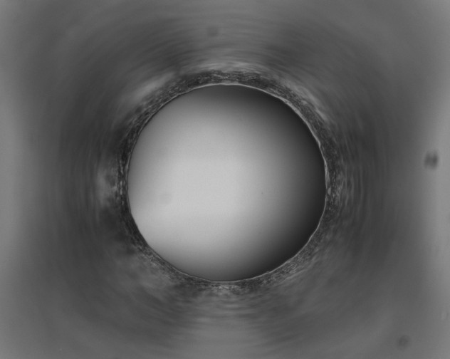 X0000094970966200712061424