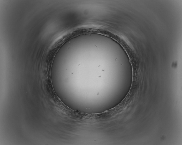 X0000094970967200712061424