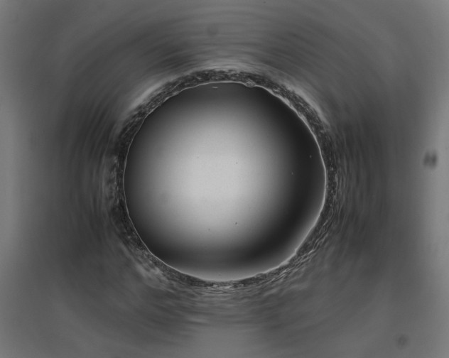 X0000094970968200712061424