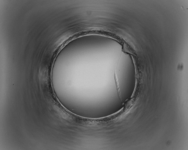 X0000094970969200712061424