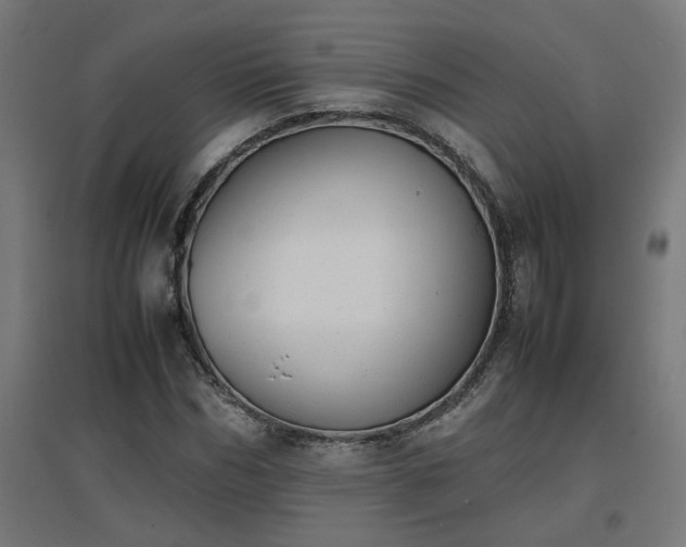 X0000094970970200712061424