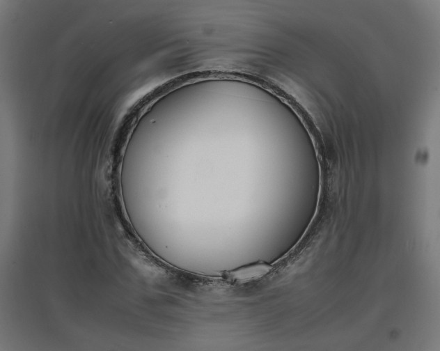 X0000094970971200712061424