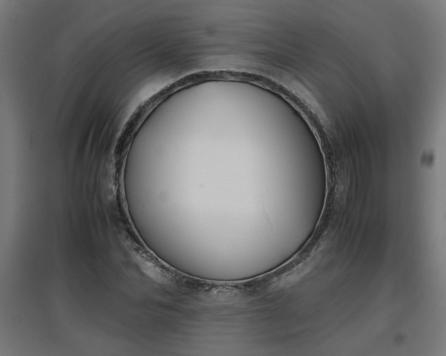 X0000094970974200712061424