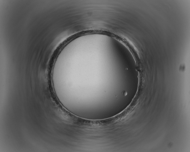 X0000094970975200712061424