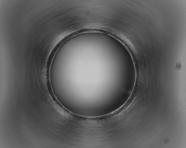 X0000094970976200712061424