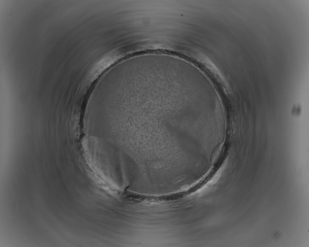 X0000094970977200712061424