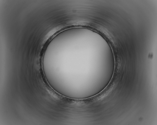 X0000094970978200712061424