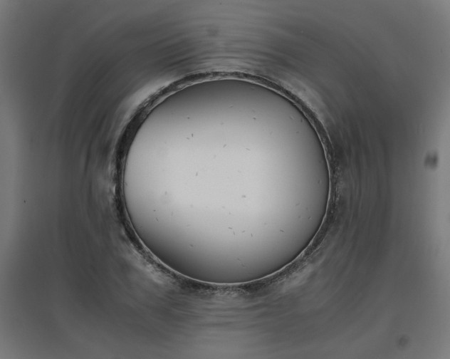 X0000094970979200712061424