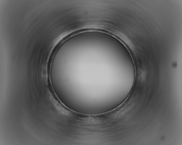 X0000094970980200712061424