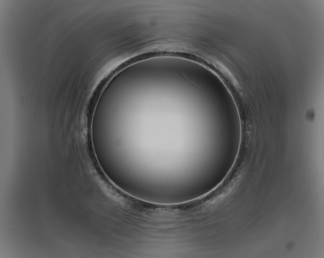 X0000094970981200712061424