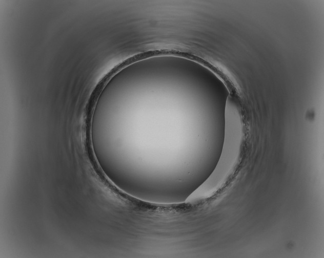 X0000094970983200712061424