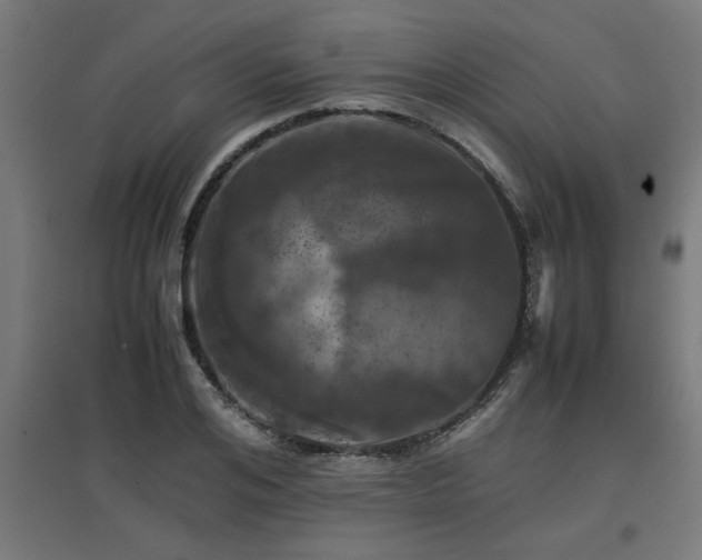 X0000094970984200712061424