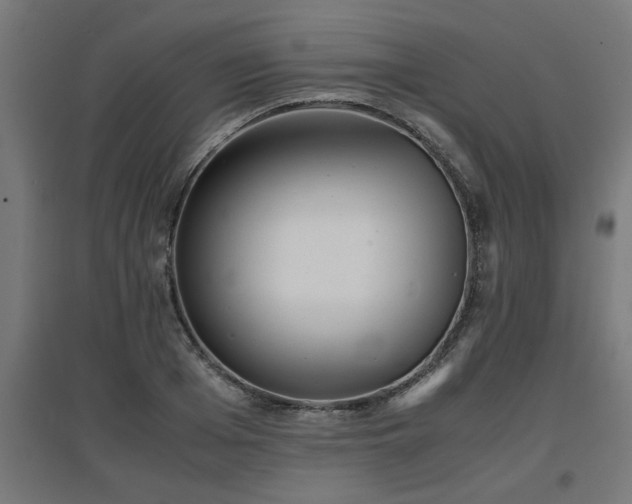 X0000094970985200712061424