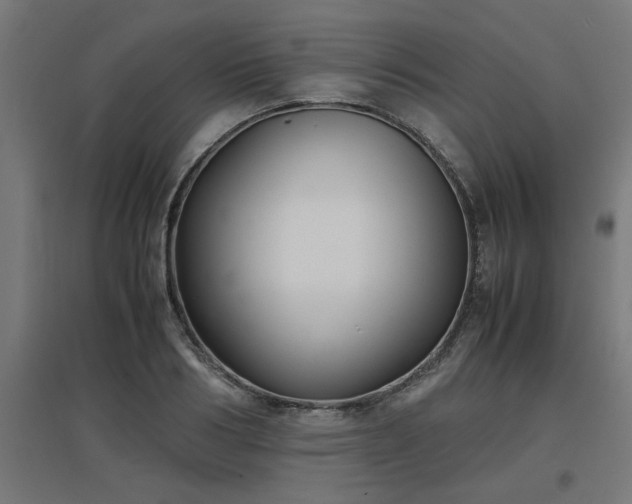 X0000094970986200712061424