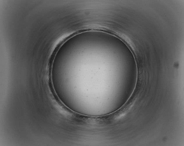 X0000094970987200712061424