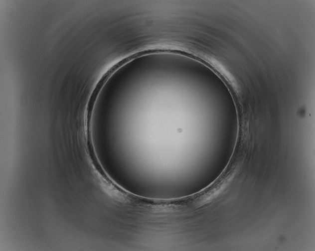 X0000094970988200712061424