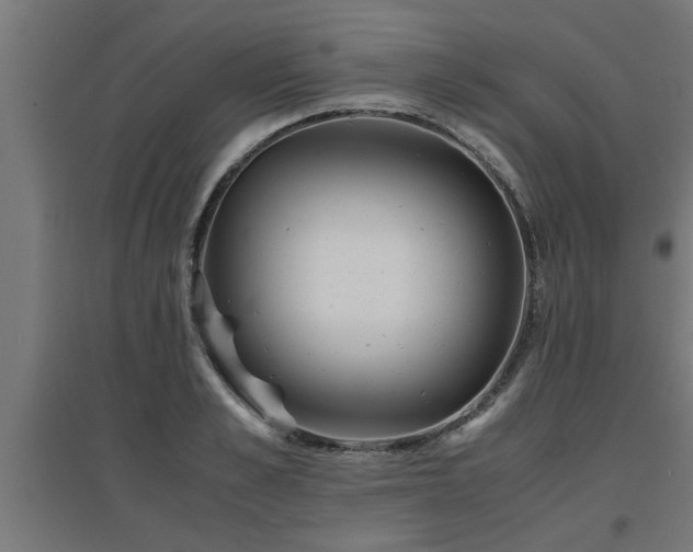 X0000094970989200712061424