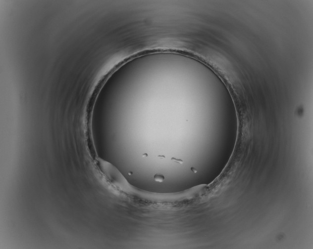 X0000094970990200712061424