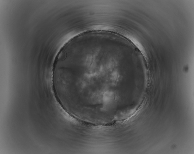 X0000094970992200712061424