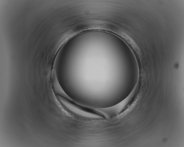 X0000094970993200712061424