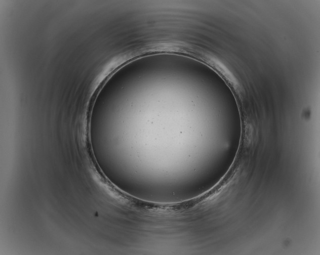 X0000094970994200712061424