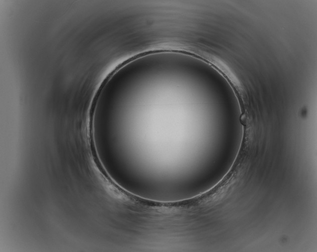 X0000094970996200712061423