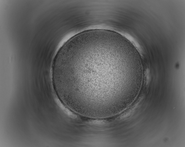 X0000094970998200712061423