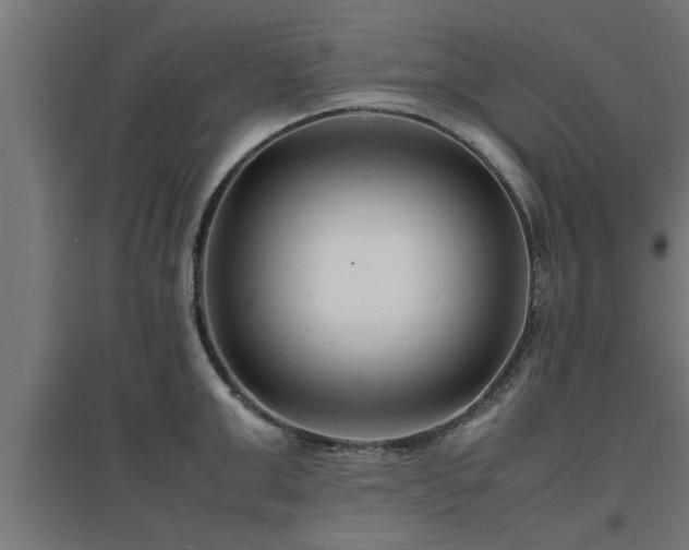 X0000094970999200712061423