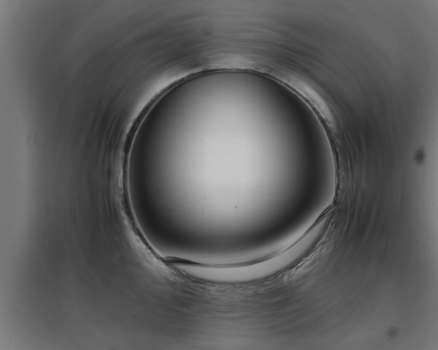 X0000094971000200712061423