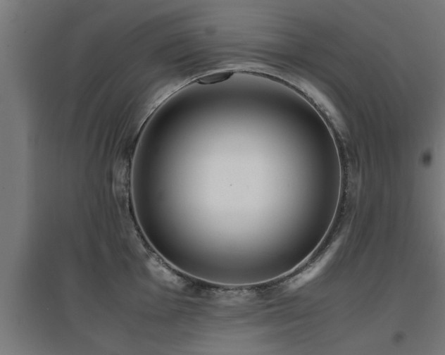 X0000094971001200712061423