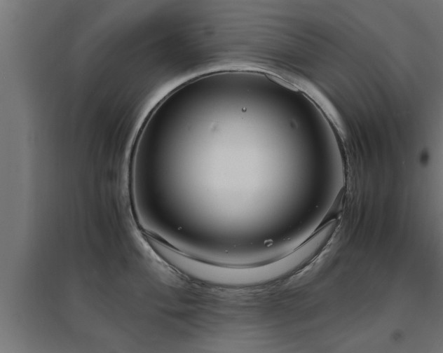 X0000094971004200712061423