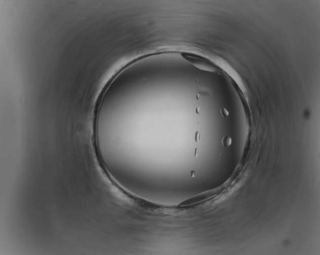 X0000094971005200712061423