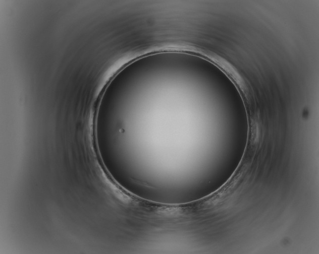 X0000094971006200712061423