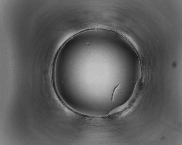 X0000094971007200712061423