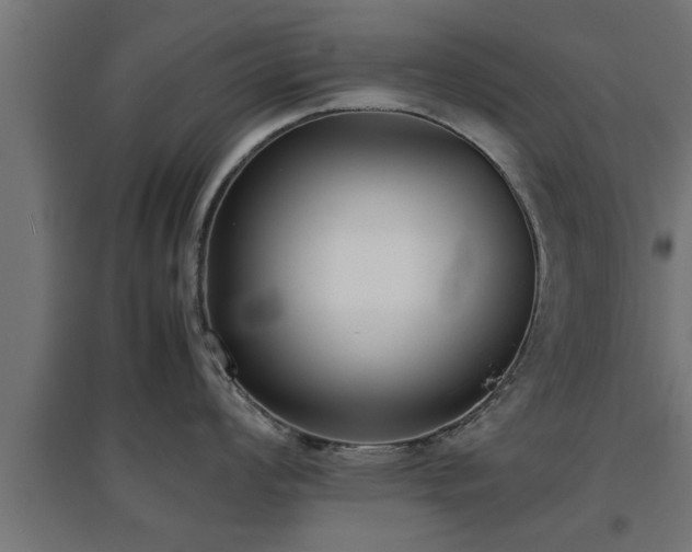 X0000094971008200712061423