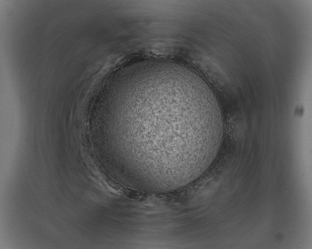 X0000094971009200712061422