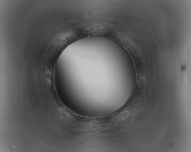 X0000094971010200712061422