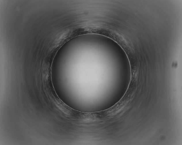 X0000094971012200712061422