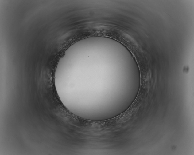 X0000094971013200712061422