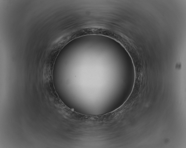 X0000094971014200712061422