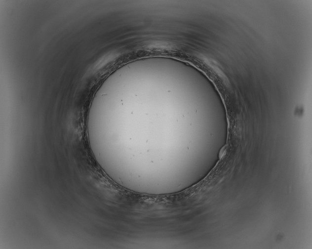 X0000094971015200712061422