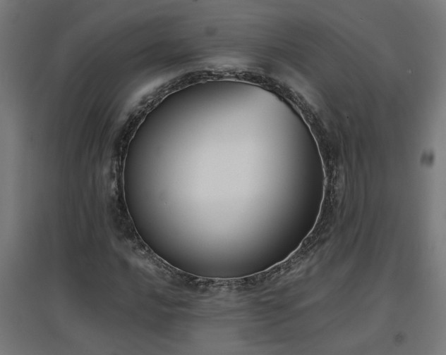 X0000094971016200712061422