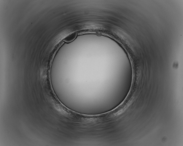 X0000094971017200712061422