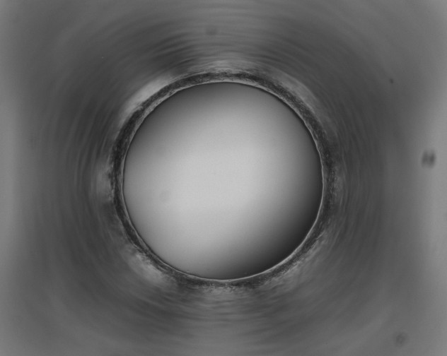 X0000094971018200712061422