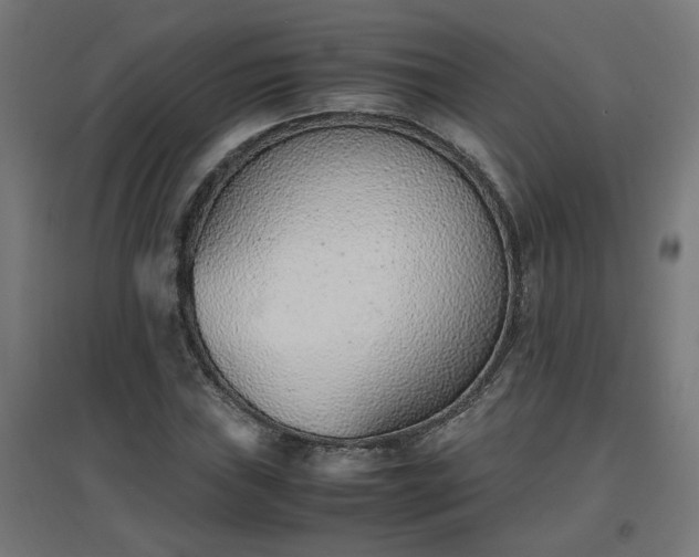 X0000094971019200712061422