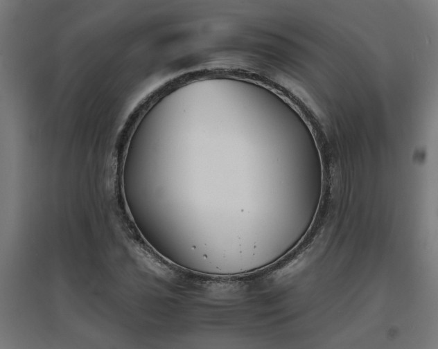 X0000094971021200712061422