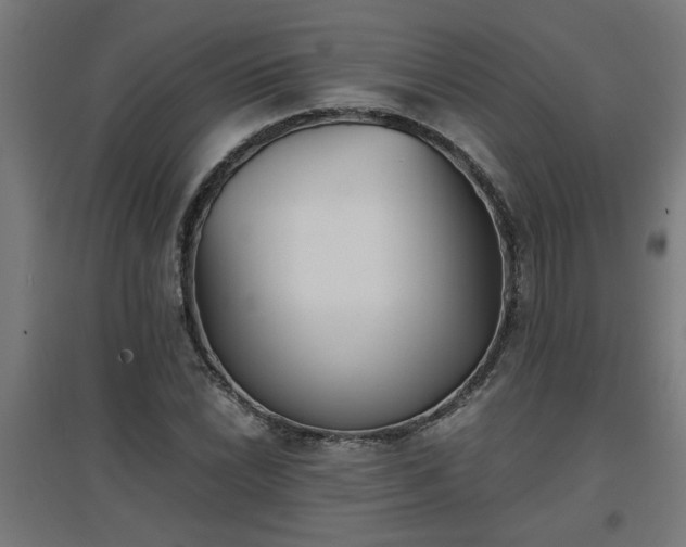 X0000094971022200712061422