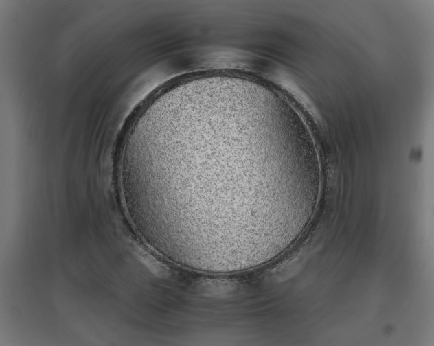 X0000094971023200712061423