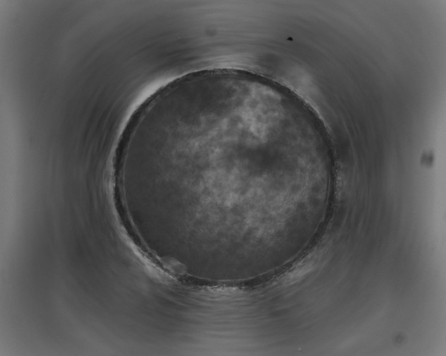 X0000094971024200712061423