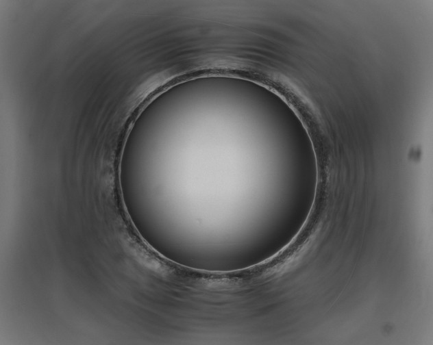 X0000094971025200712061423